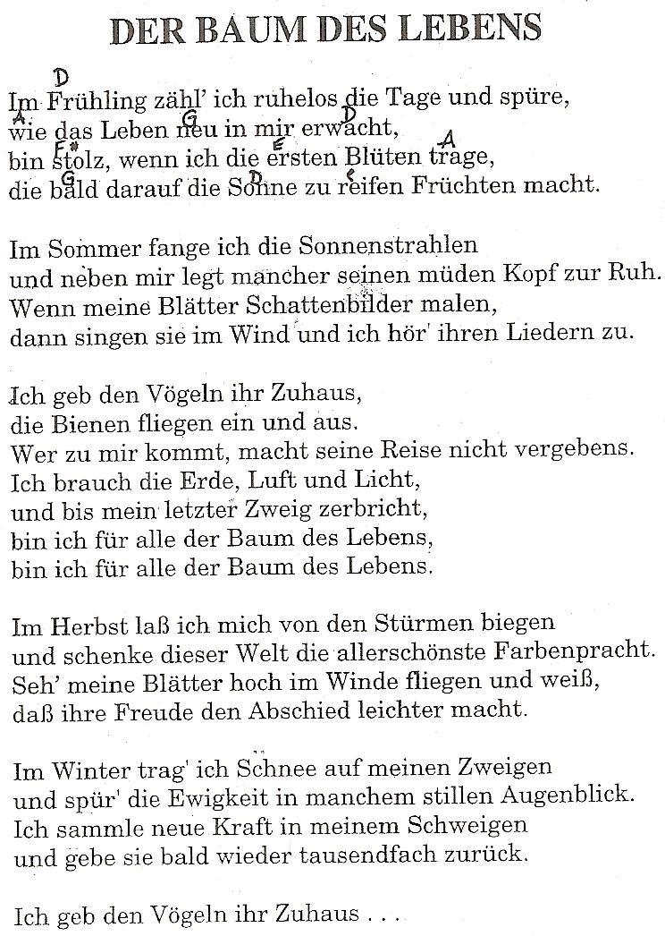 Projektgruppe „Der Baum als Symbol des Lebens”